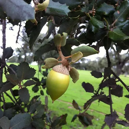 Cortijo Charcollana Сasa de vacaciones Pozoblanco