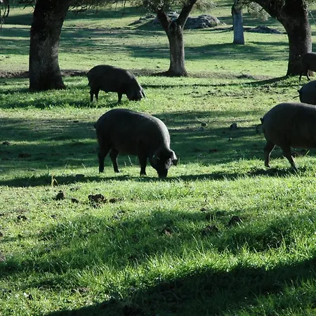 Сasa de vacaciones Cortijo Charcollana